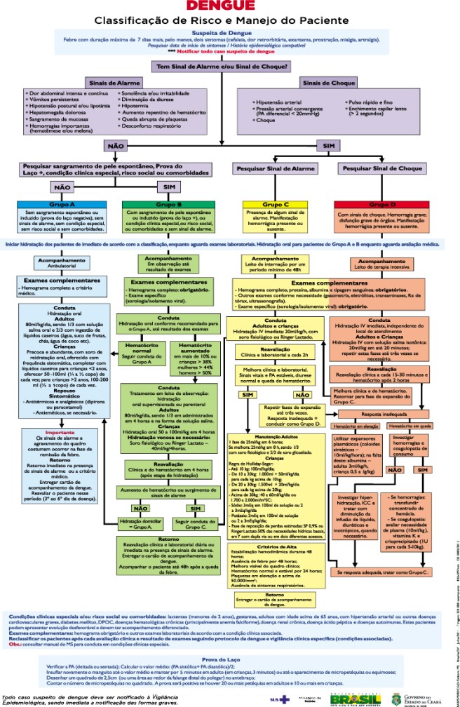 fluxograma dengue